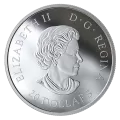 2019 Canada $20 Sky Wonders - 1 oz Pure Silver 3-Coin Subscription Set