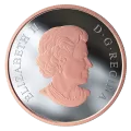 2019 Canadian $20 Best Wishes On Your Wedding Day - 1 oz Fine Silver & Pink Gold-plated Coin