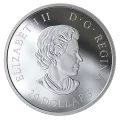 2019 Canadian $20 Sky Wonders: Fire Rainbow - 1 oz Fine Silver Coloured Coin