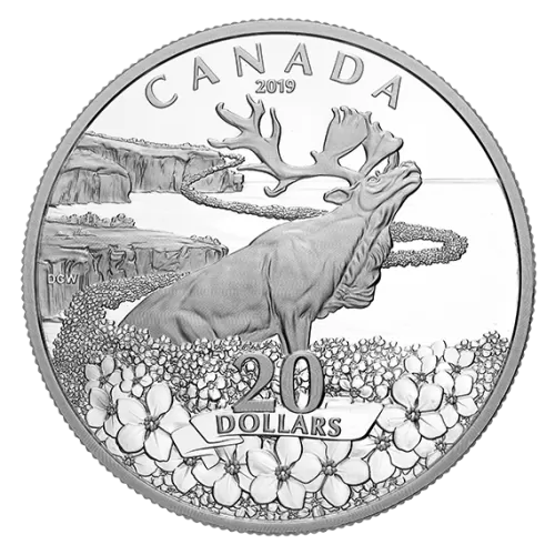 2019 Canadian $20 Forget-Me-Not - 1 oz Fine Silver Coin