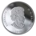 2019 Canadian $20 Lights of Parliament Hill - 1 oz Fine Silver Coin