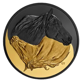 2020 Canadian $20 Black and Gold: The Canadian Horse - 1 oz Fine Silver Gold-plated Coin