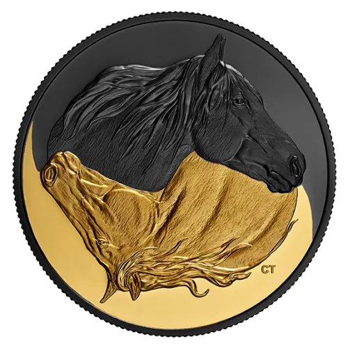 2020 Canadian $20 Black and Gold: The Canadian Horse - 1 oz Fine Silver Gold-plated Coin