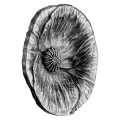 2020 Canadian $20 Remembrance Day - Fine Silver Coin