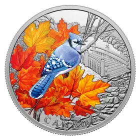 2021 Canadian $20 Colourful Birds: Blue Jay - 1 oz Fine Silver Coloured Coin