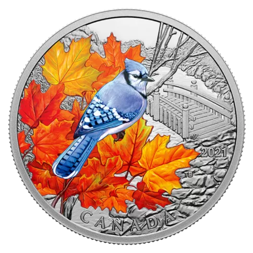 2021 Canadian $20 Colourful Birds: Blue Jay - 1 oz Fine Silver Coloured Coin