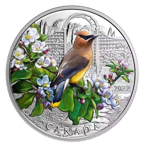 2022 Canadian $20 Colourful Birds: Cedar Waxwing - 1 oz Fine Silver Coloured Coin