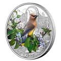 2022 Canadian $20 Colourful Birds: Cedar Waxwing - 1 oz Fine Silver Coloured Coin