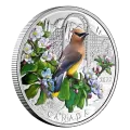 2022 Canadian $20 Colourful Birds: Cedar Waxwing - 1 oz Fine Silver Coloured Coin