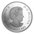2023 Canadian $20 Remembrance Day - 1 oz Fine Silver Coin
