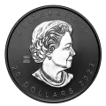 2023 Canadian $20 Super Incuse Silver Maple Leaf - 1 oz Fine Silver Coin