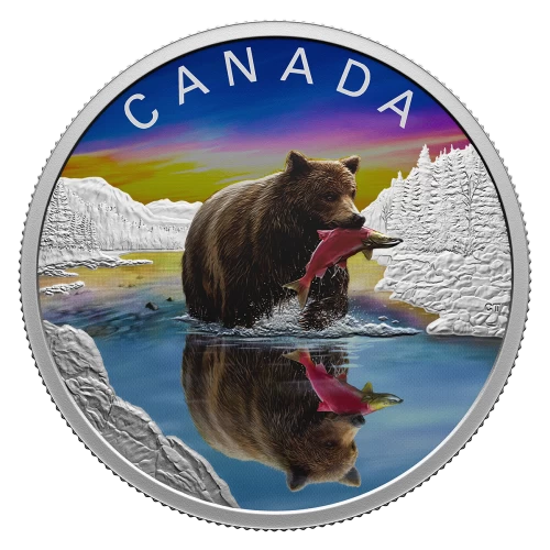 2024 Canada $20 Wildlife Reflections: Grizzly Bear - 1 oz Fine Silver Coloured Coin-no outside box