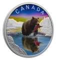 2024 Canada $20 Wildlife Reflections: Grizzly Bear - 1 oz Fine Silver Coloured Coin-no outside box