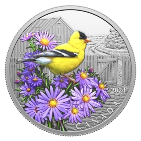 2024 Canada $20 Colourful Birds: American Goldfinch - 1 oz Fine Silver Coin