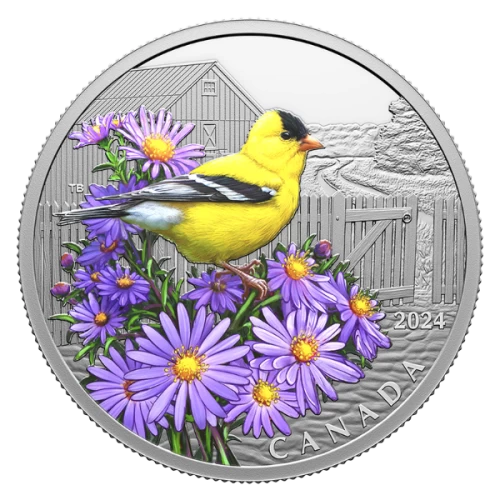 2024 Canada $20 Colourful Birds: American Goldfinch - 1 oz Fine Silver Coin