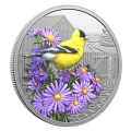 2024 Canada $20 Colourful Birds: American Goldfinch - 1 oz Fine Silver Coin