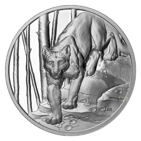 2024 Canada $20 Great Hunters: Cougar - Fine Silver Coin (Ultra-High Relief)