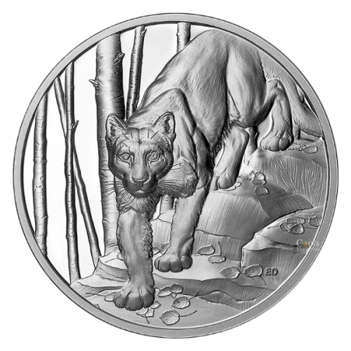 2024 Canada $20 Great Hunters: Cougar - Fine Silver Coin (Ultra-High Relief)