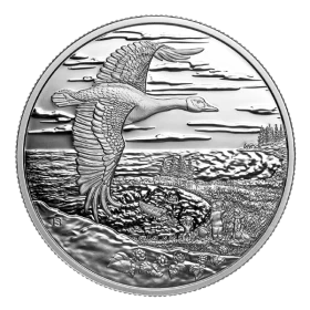 2025 Canada $20 Interconnected Nature - 1 oz Fine Silver Coin