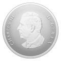 2025 Canada $20 Remembrance Day - 1 oz Fine Silver Coin