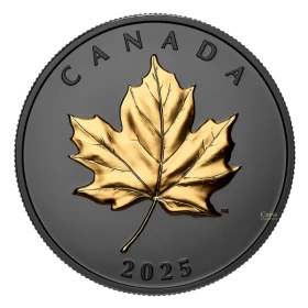 2025 Canada $20 Gilded Elegant Maple - 1 oz Fine Silver Coin
