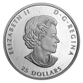 2020 Canadian $25 Proud Bald Eagle - Fine Silver Extraordinarily-High Relief Coin