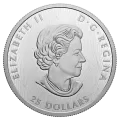 2021 Canadian $25 Bold Bison - Fine Silver Extraordinarily-High Relief Coin