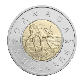 2011 Canadian $2 Baby Animals: Elk Calf Specimen Toonie Coin