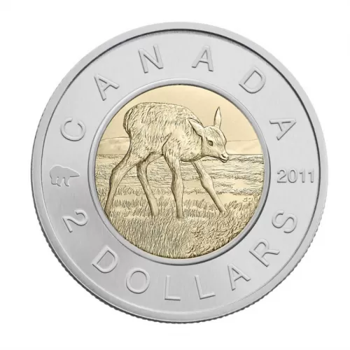 2011 Canadian $2 Baby Animals: Elk Calf Specimen Toonie Coin