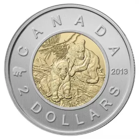 2013 Canadian $2 Baby Animals: Black Bear Cubs Specimen Toonie Coin