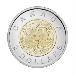 2014 Canadian $2 Baby Animals: Baby Rabbits Specimen Toonie Coin