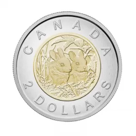 2014 Canadian $2 Baby Animals: Baby Rabbits Specimen Toonie Coin