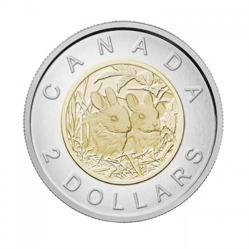 2014 Canadian $2 Baby Animals: Baby Rabbits Specimen Toonie Coin