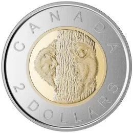 2015 Canadian $2 Baby Animals: Baby Raccoon Specimen Toonie Coin