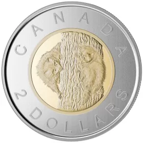2015 Canadian $2 Baby Animals: Baby Raccoon Specimen Toonie Coin
