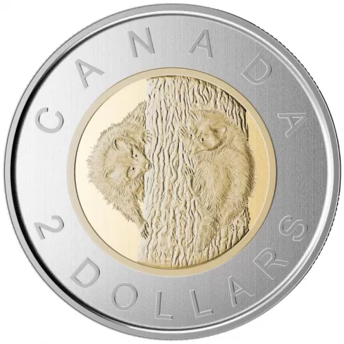 2015 Canadian $2 Baby Animals: Baby Raccoon Specimen Toonie Coin