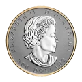 2022 Canadian $300 Maple Leaf Forever - 1 oz Pure Platinum Coin