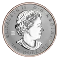 2024 Canada $300 Maple Leaf Forever - Pure Platinum Coin