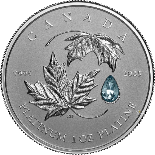 2025 Canada $300 Maple Leaf Forever - Pure Platinum Coin