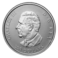 2025 Canada $300 Maple Leaf Forever - Pure Platinum Coin