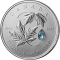 2025 Canada $300 Maple Leaf Forever - Pure Platinum Coin