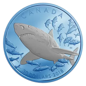 2018 Canadian $30 Great White Shark with Blue Rhodium Plating 2 oz Fine Silver Coin