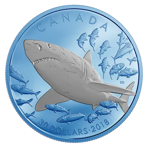 2018 Canadian $30 Great White Shark with Blue Rhodium Plating 2 oz Fine Silver Coin