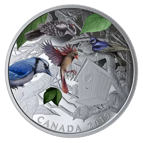 2019 Canadian $30 Birds in the Backyard - 2 oz Fine Silver Coloured Coin