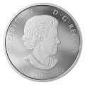 2019 Canadian $30 Birds in the Backyard - 2 oz Fine Silver Coloured Coin