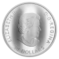 2019 Canadian $30 The Fabric of Canada - 2 oz Fine Silver Coloured Coin