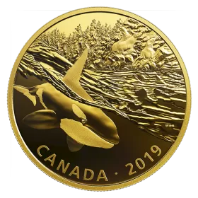 2019 Canadian $30 Golden Reflections - Predator and Prey: Orca and Sea Lions - 2 oz Fine Silver Gold-plated Coin