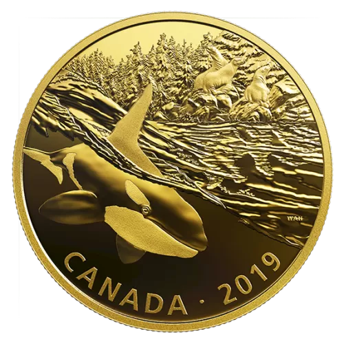 2019 Canadian $30 Golden Reflections - Predator and Prey: Orca and Sea Lions - 2 oz Fine Silver Gold-plated Coin