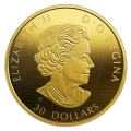 2019 Canadian $30 Golden Reflections - Predator and Prey: Orca and Sea Lions - 2 oz Fine Silver Gold-plated Coin
