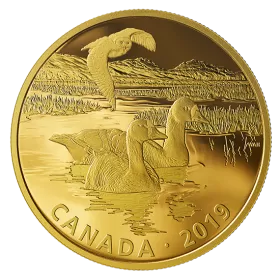 2019 Canadian $30 Golden Reflections - Predator and Prey: Snowy Owl and Greater White-fronted Geese - 2 oz Fine Silver Gold-plated Coin